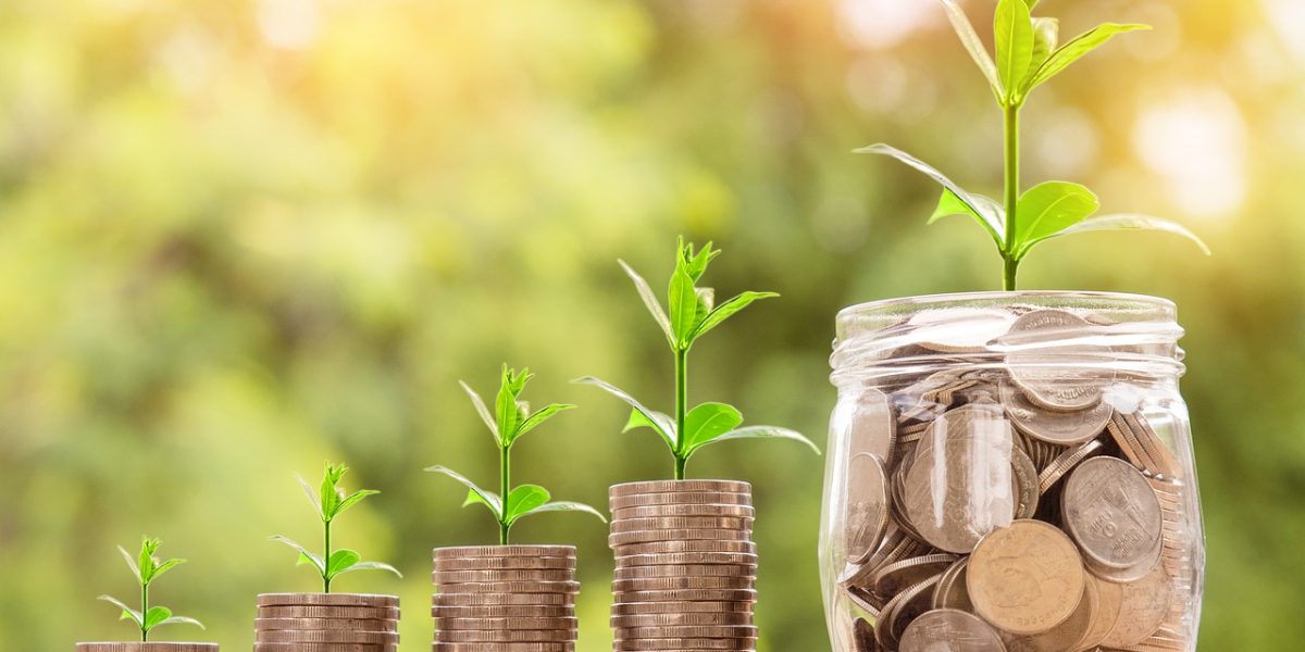 Green shoots growing from piles of coins