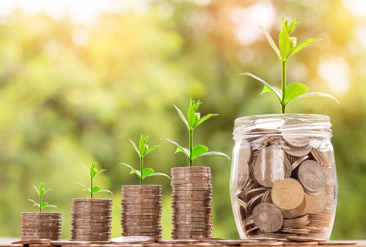 Green shoots growing from piles of coins